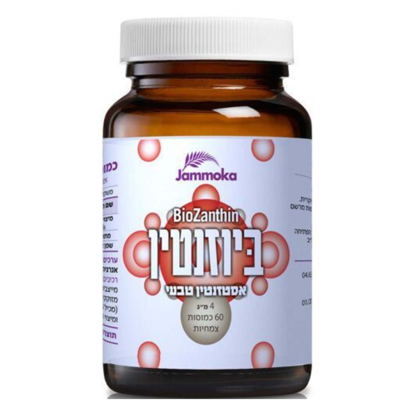 ביוזנטין גמוקה 60 כמ'