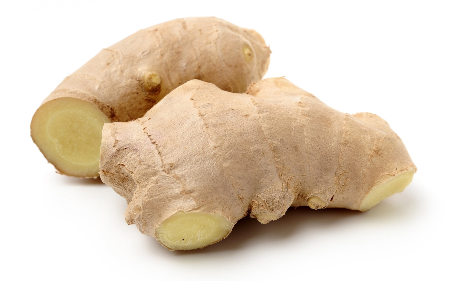 שורש גינגר טרי {זנגוויל}