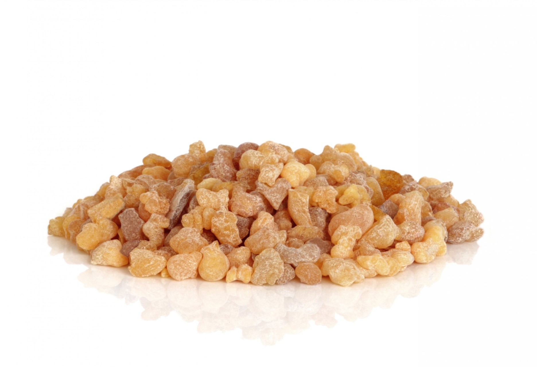 לבונה -לובן גדול