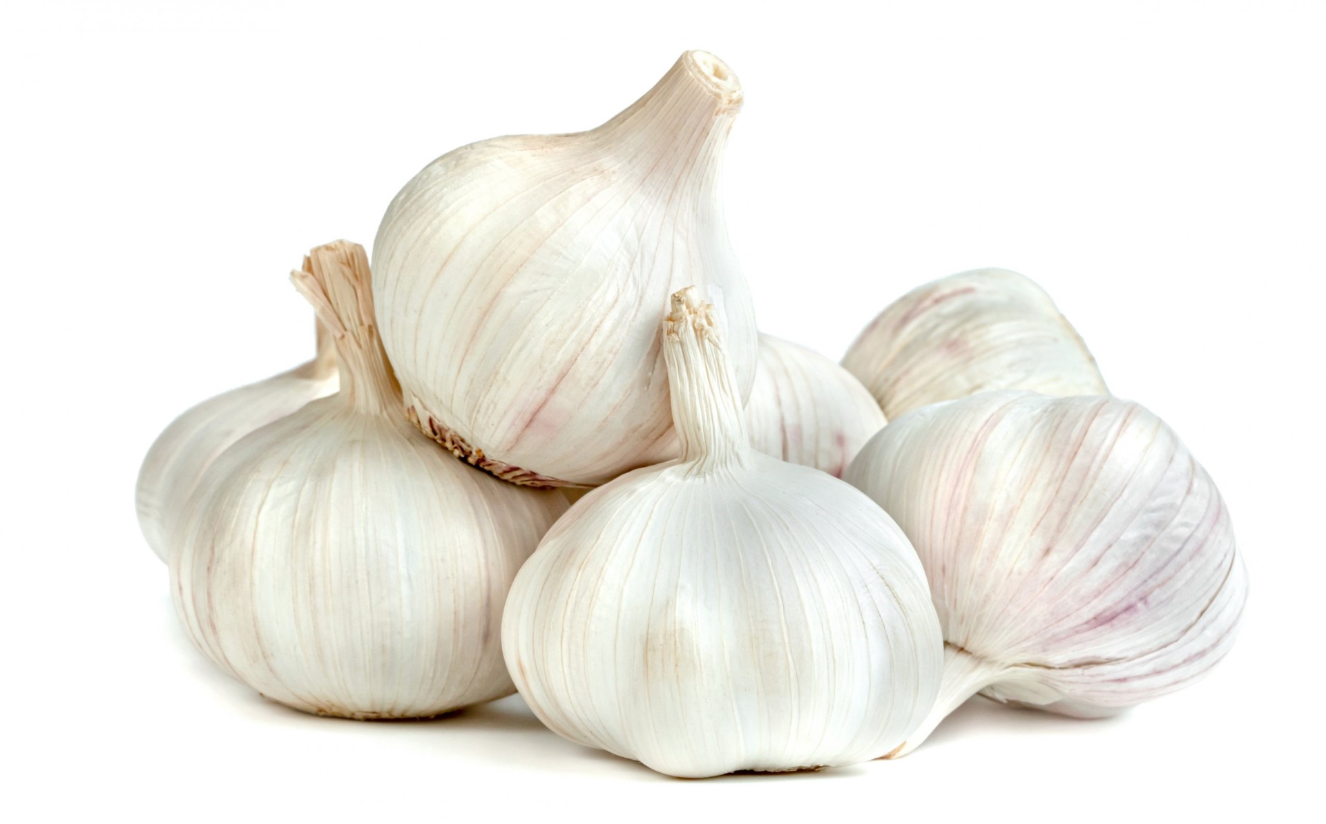 שום טרי ישראלי - שקיל