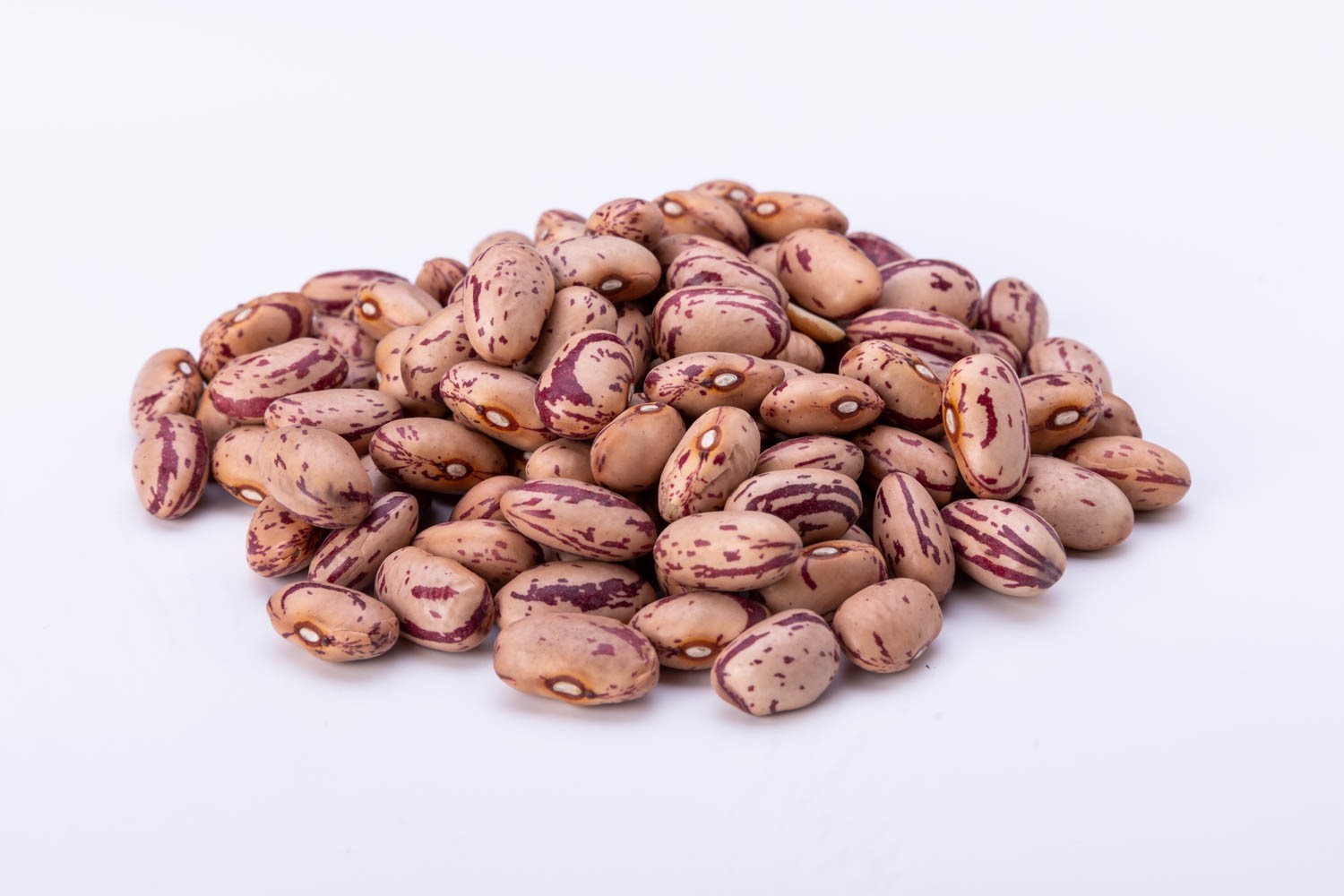 שעועית ברבוניה מנומרת