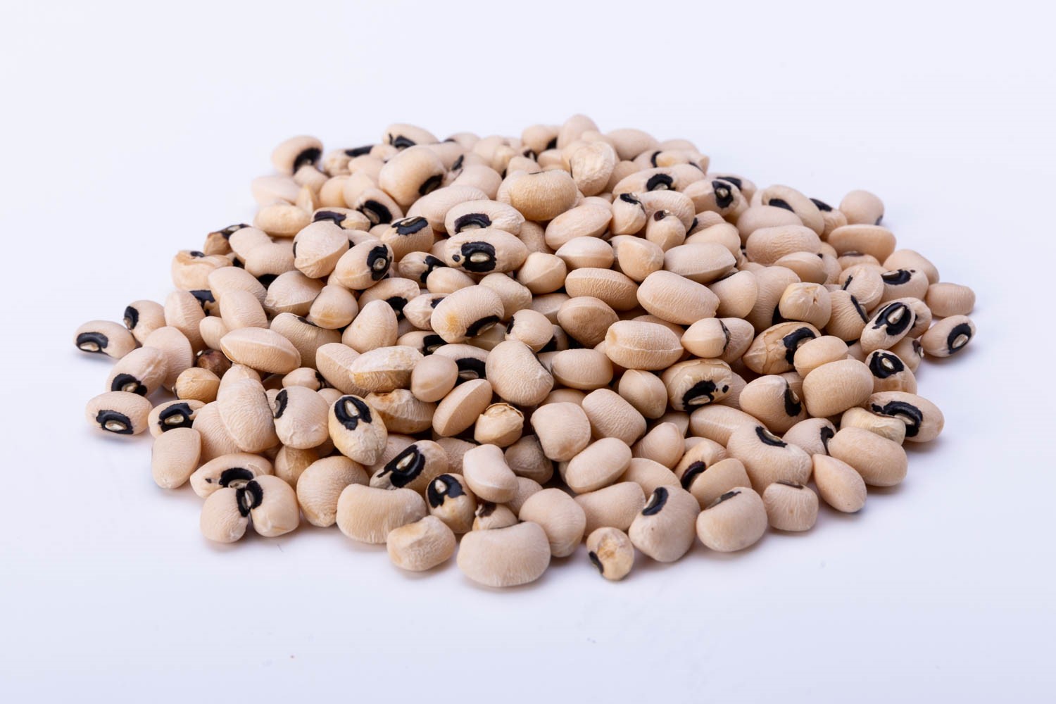 שעועית לוביה