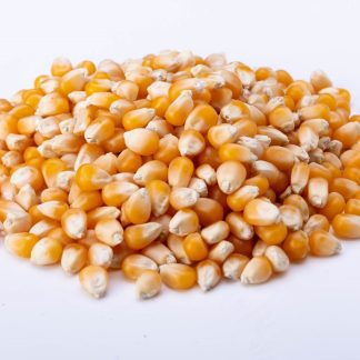 גרעיני תירס