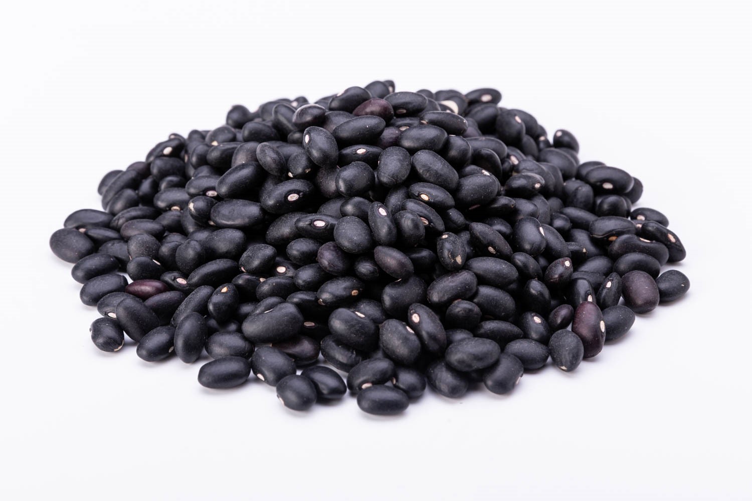 שעועית שחורה