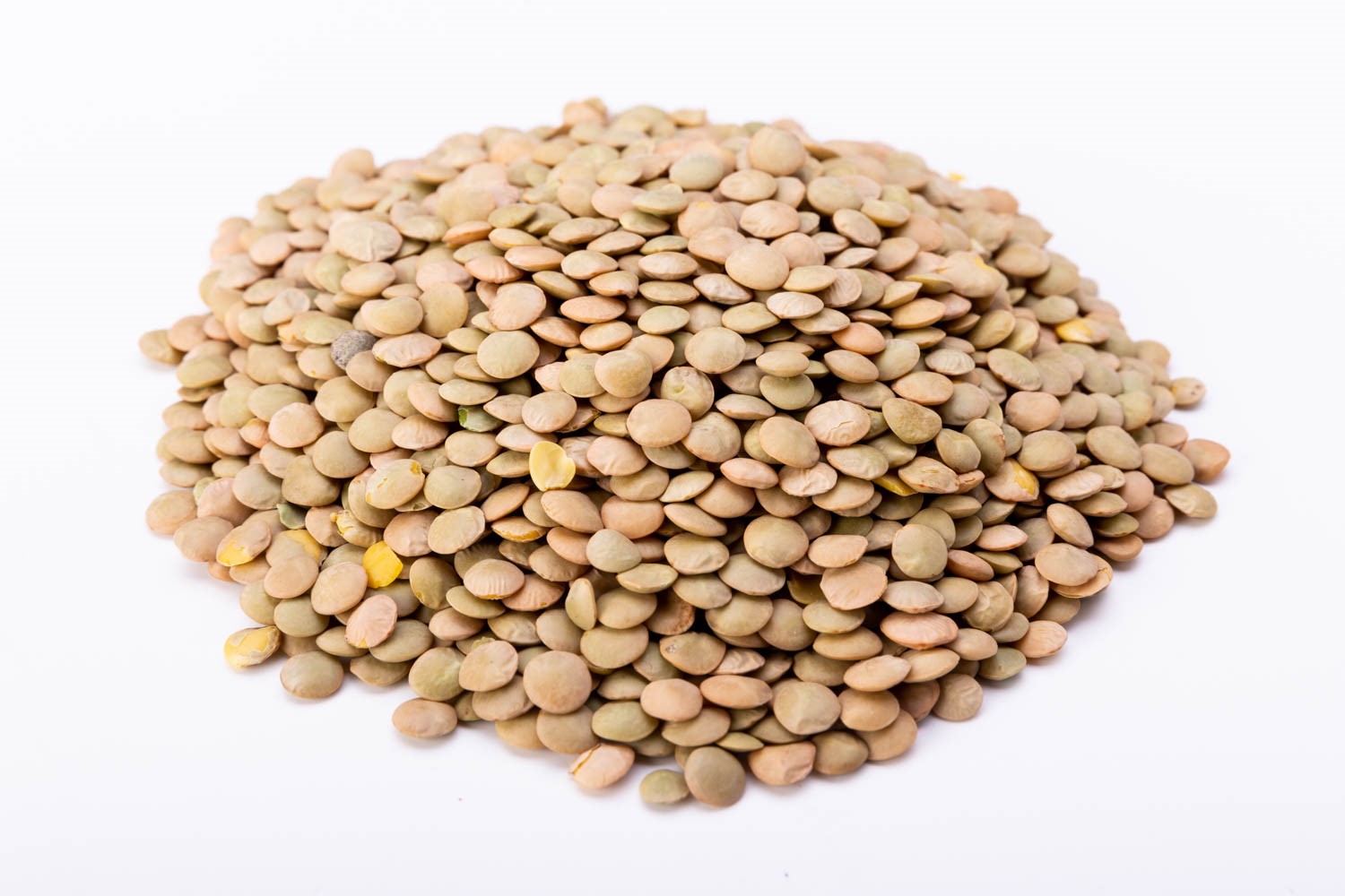 עדשים ירוק קטן