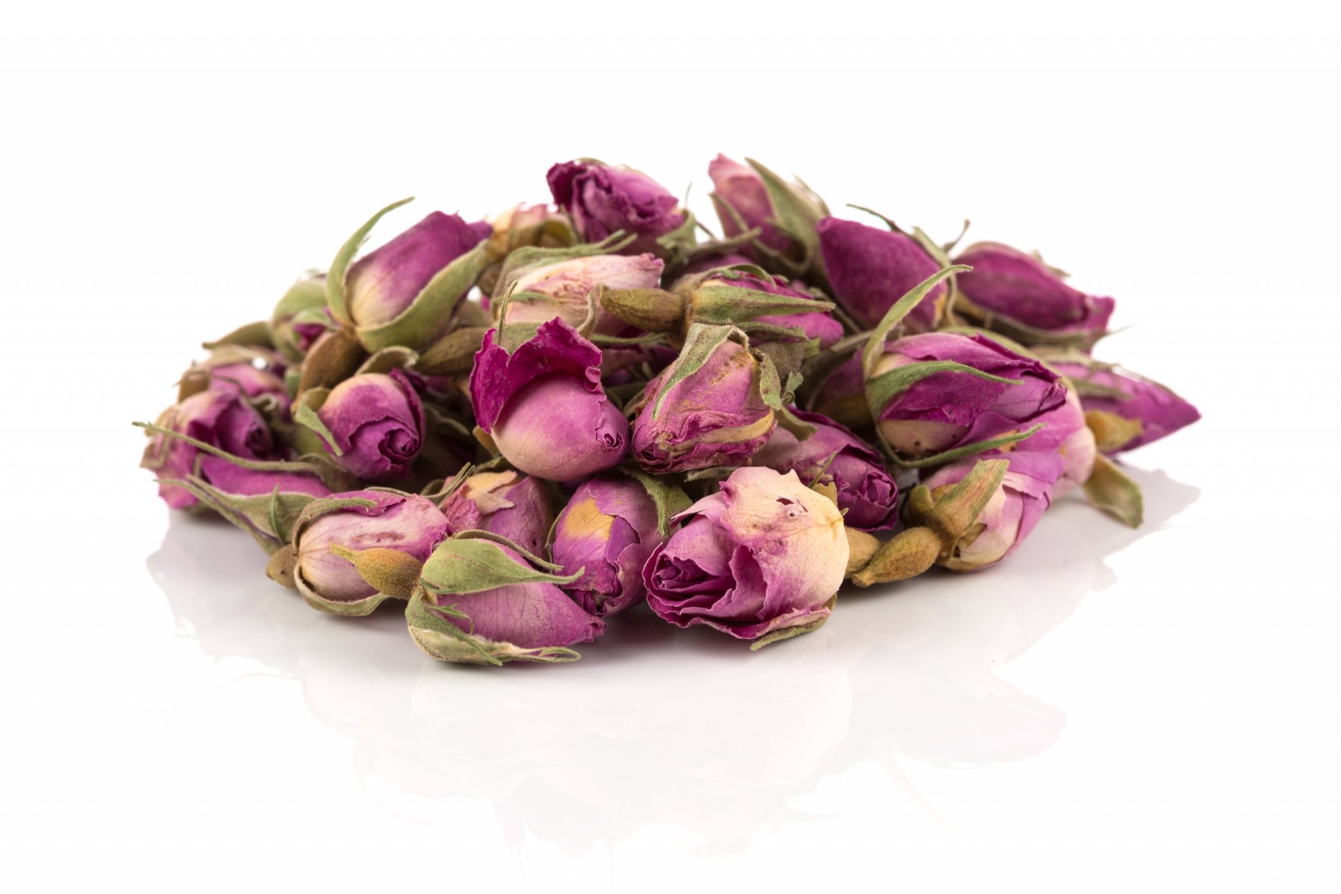 ניצני ורדים