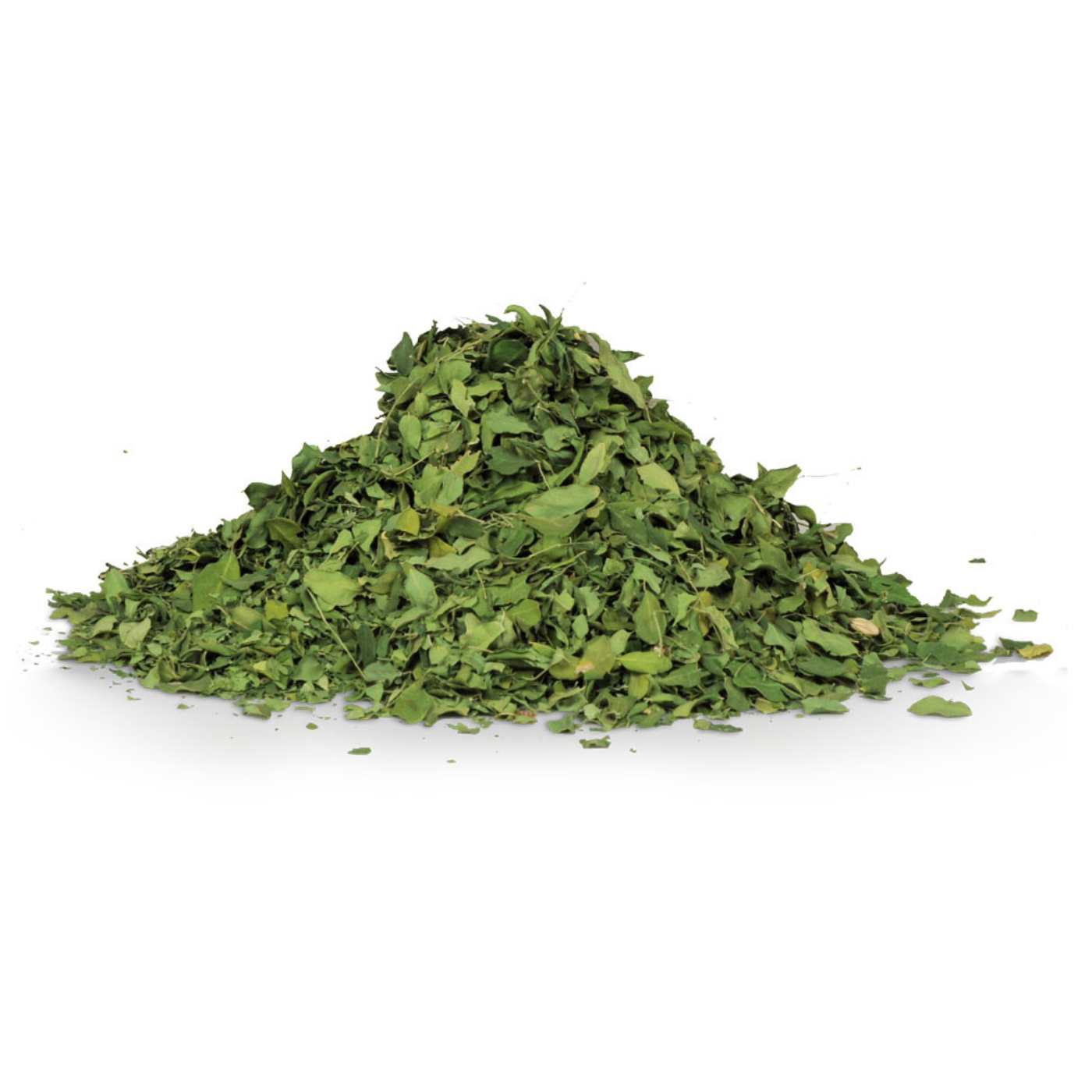 מורינגה עלים - שקיל