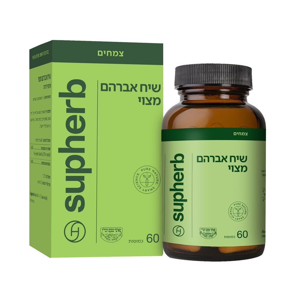 אברהם מצוי 60 כמ' בד"ץ