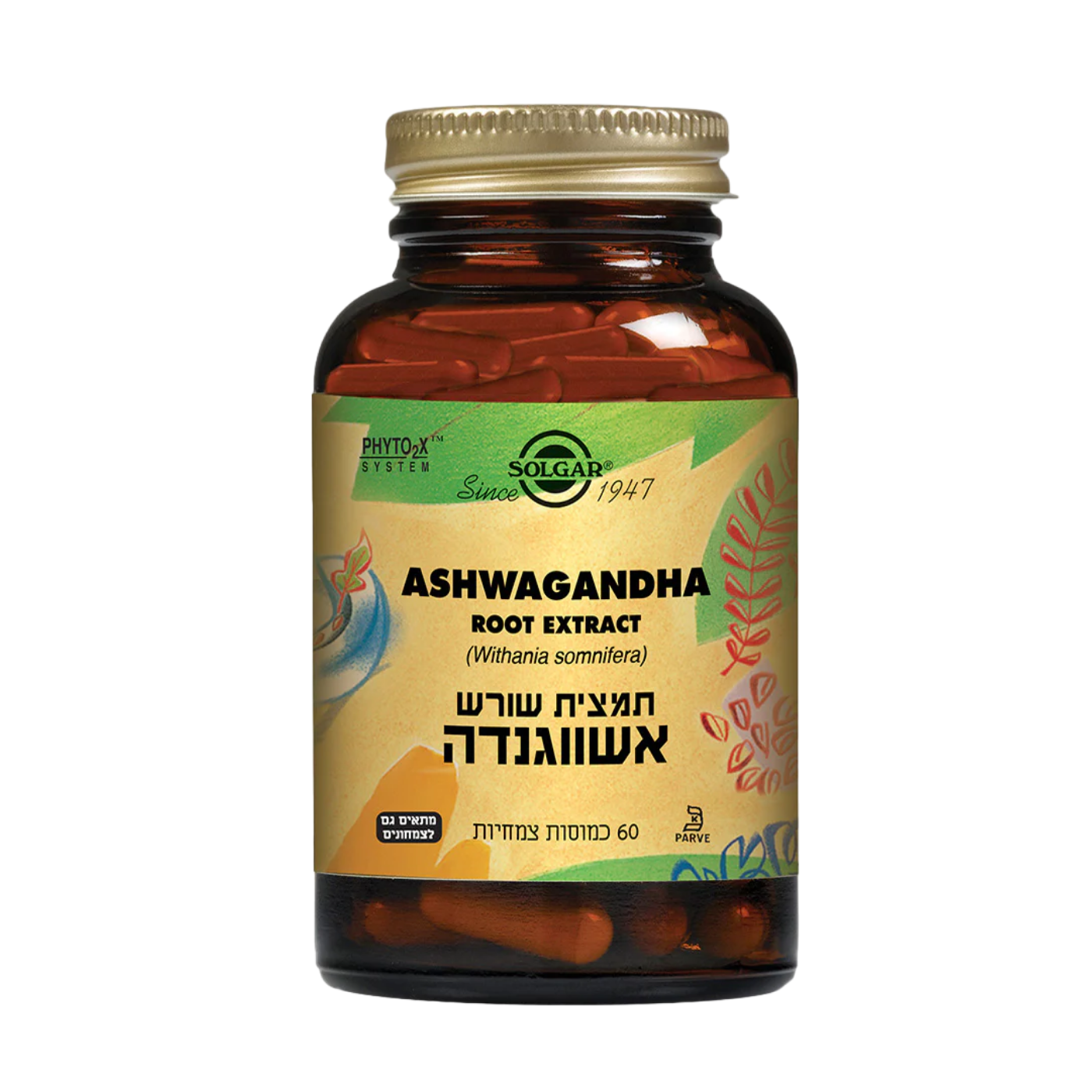 תמצית שורש אשווגנדה -60 כמוסות סולגר