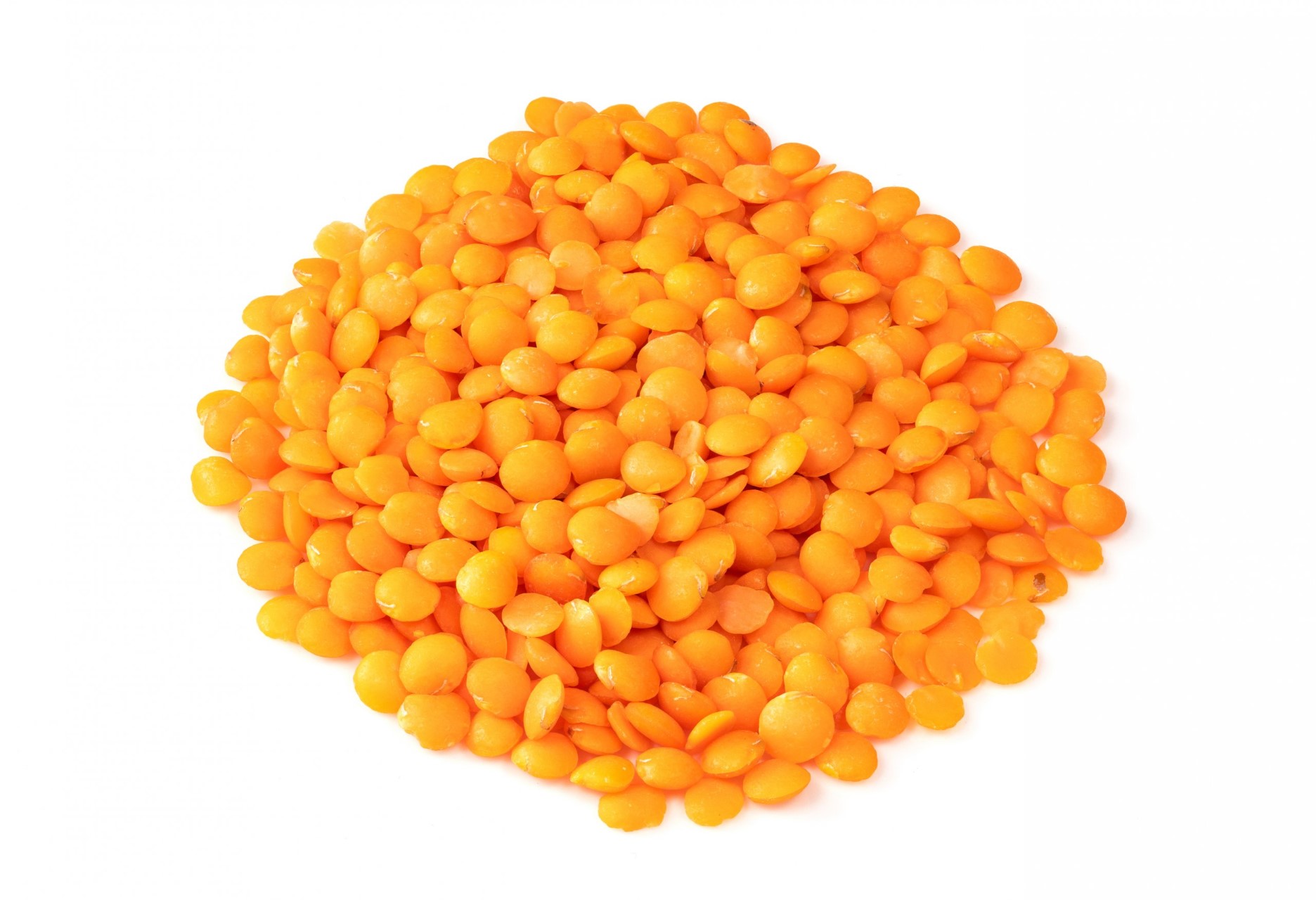 עדשים כתומות שלם