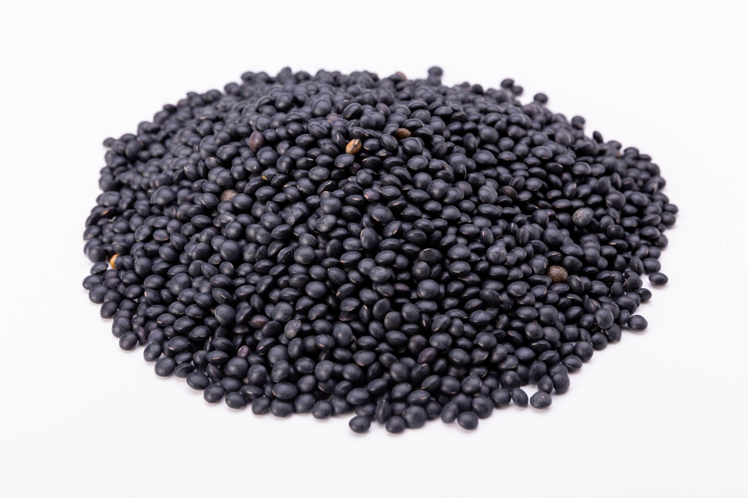 עדשים שחורות