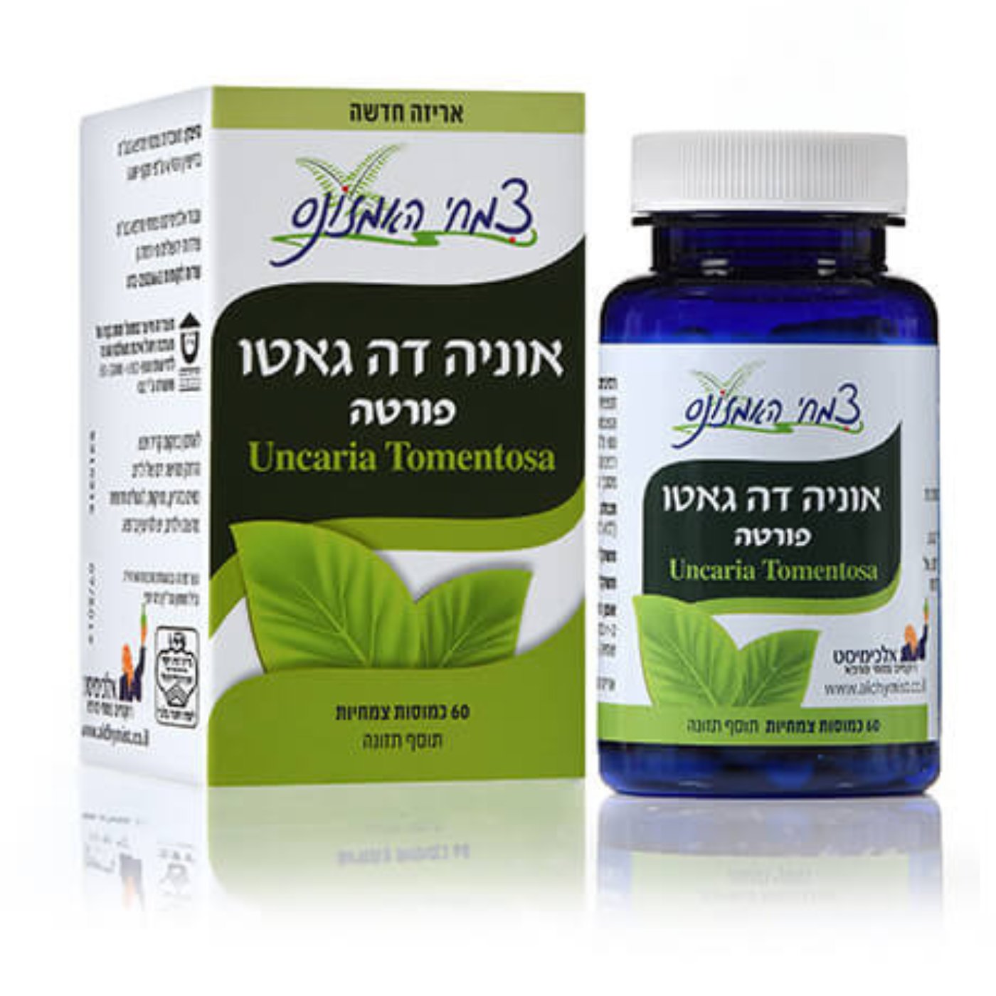 אוניה דה גאטו פורטה 60 כמ'