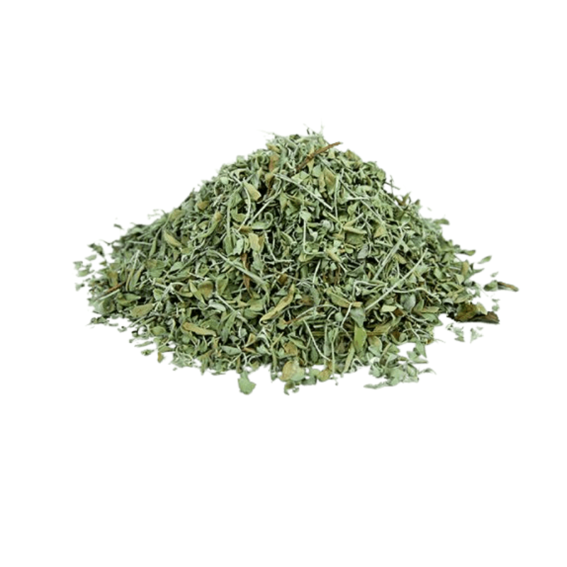 זוטה לבנה עלים