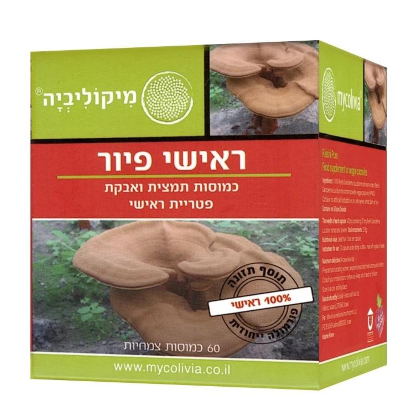 ראישי פיור - כמוסות תמצית ואבקת פטריית ראישי