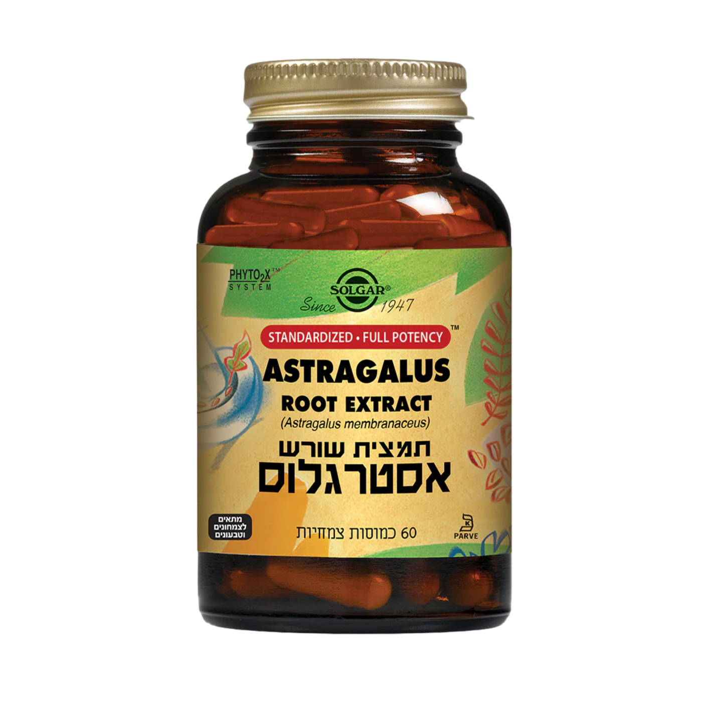 תמצית אסטרגלוס 60 כמוסות סולגר